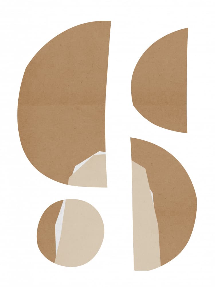 Organic Paper Cutouts by Vitor Costa — canvas wall art