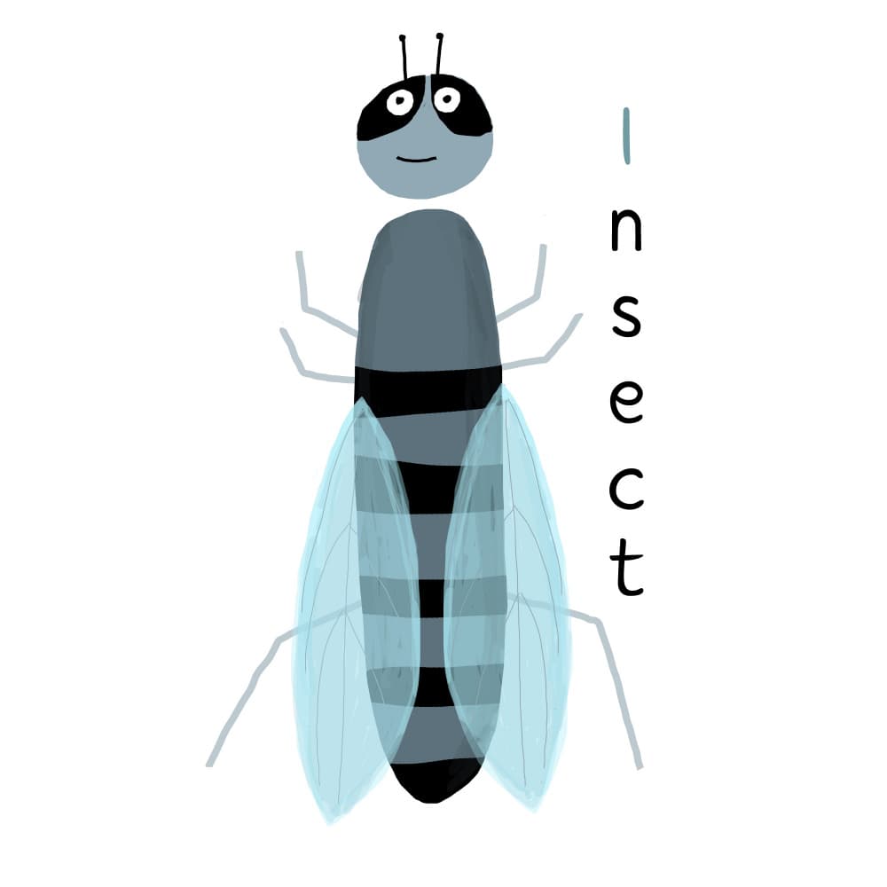 Happy Cartoon Insect by Carla Daly — canvas wall art