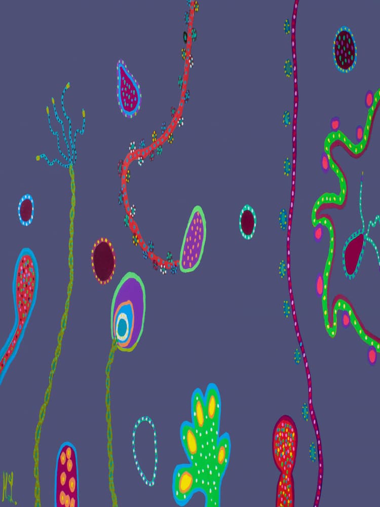Colorful Organic Whimsy by Helen Joynson — canvas wall art