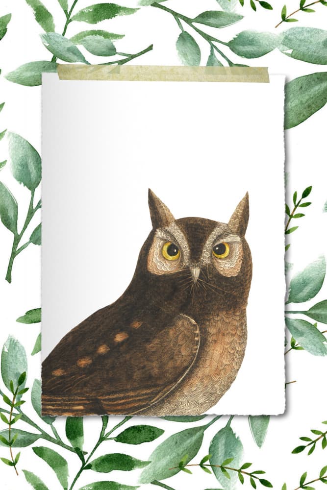 Wise Woodland Owl by Marja van den Hurk — canvas wall art
