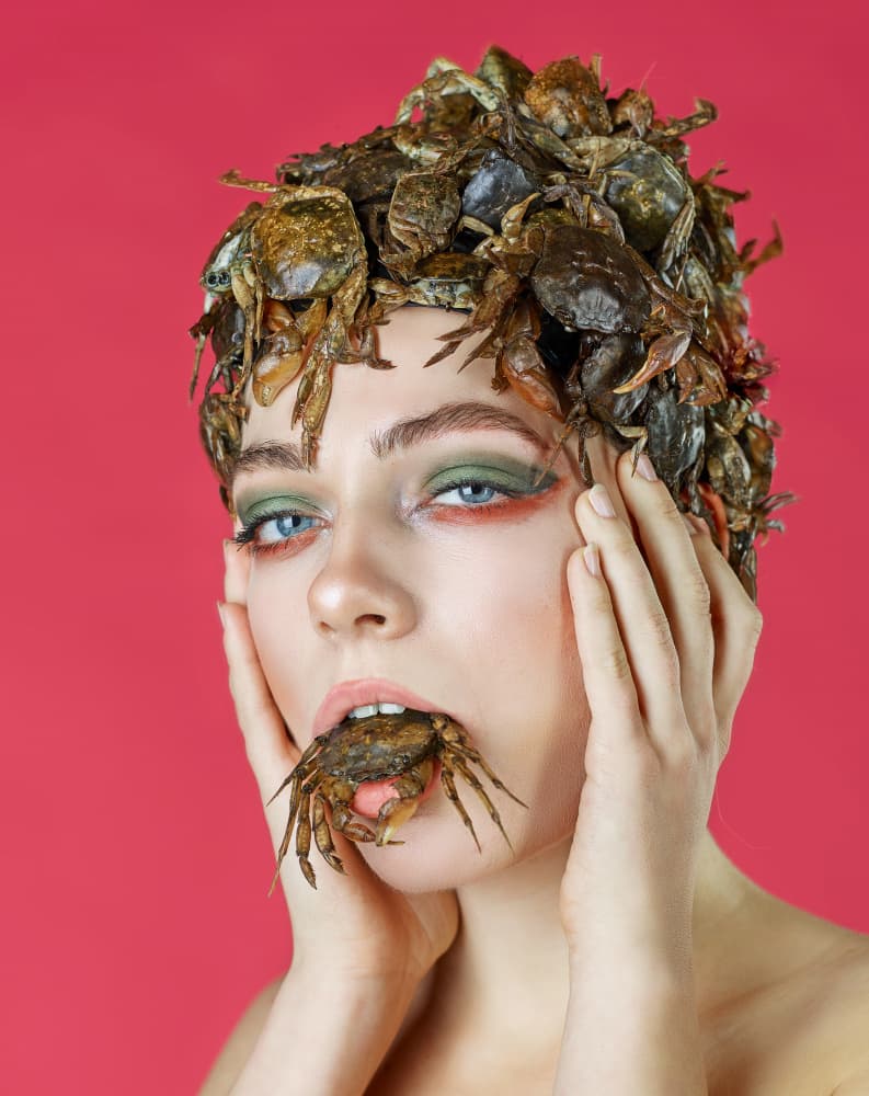 Surreal Crab Portrait by Michael Allmaier — canvas wall art