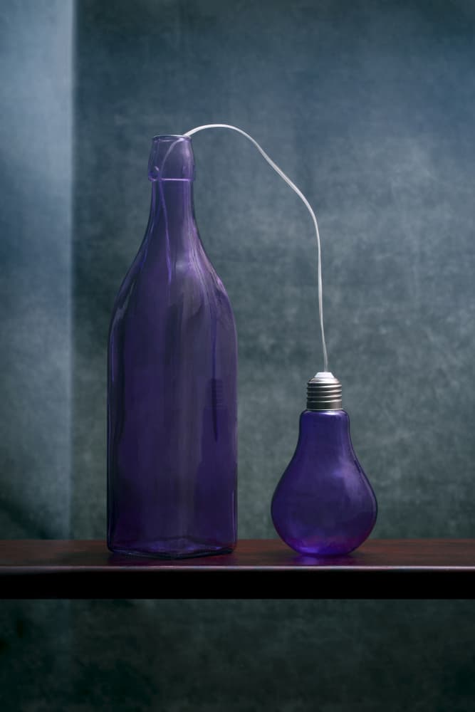 Purple Bottle And Bulb by Brig Barkow — canvas wall art