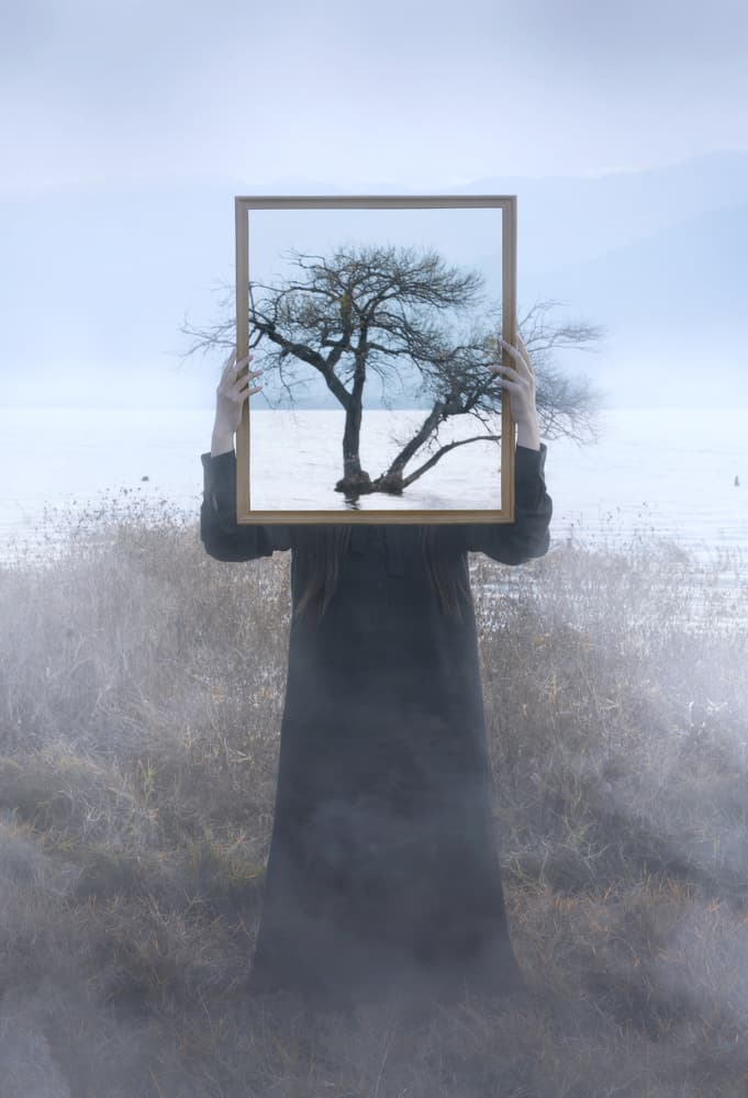 Enigmatic Winter Reflection by Terry F — canvas wall art