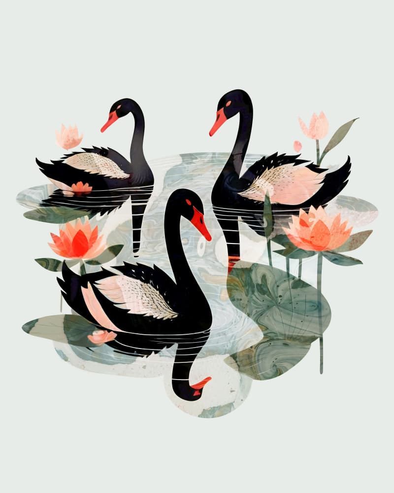 Black Swans Pond by Uma Gokhale — canvas wall art