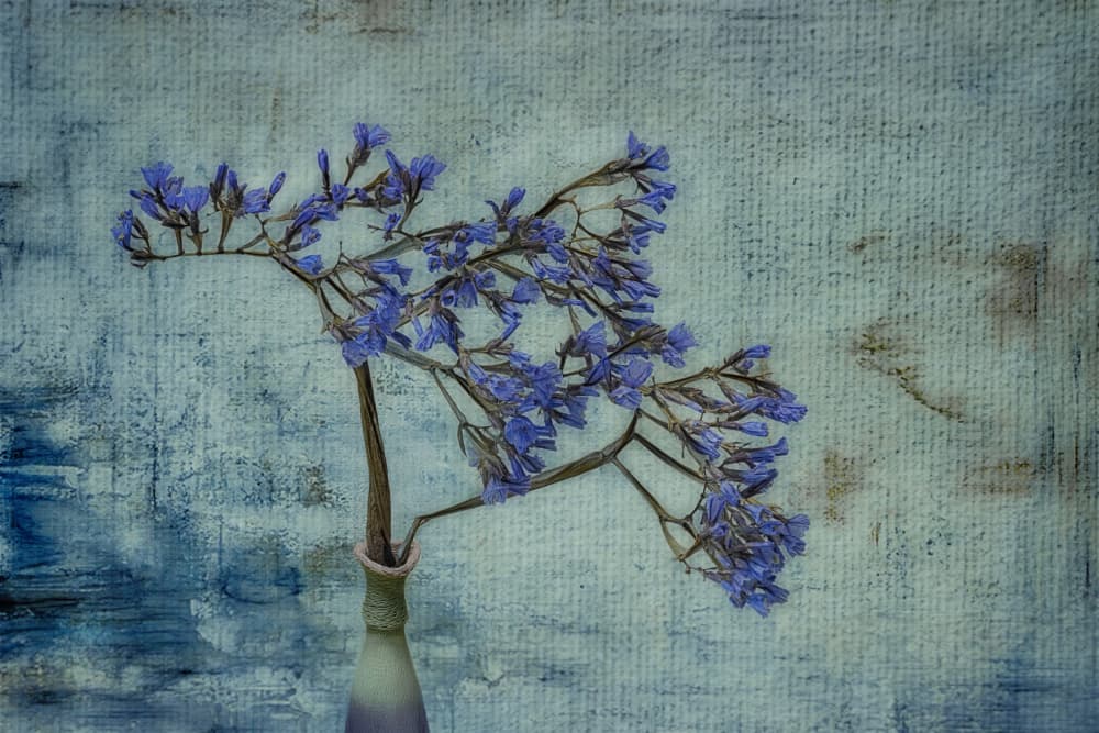 Rustic Blue Floral Vase by Marie-anne Stas — canvas wall art