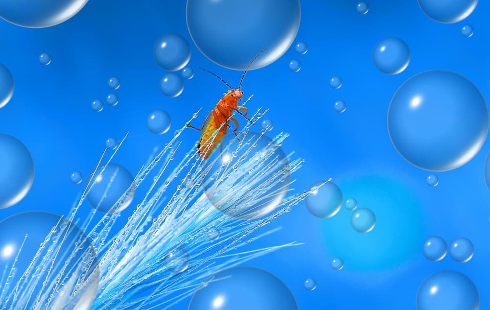 Vibrant Bug Blue Bubbles by Thierry Dufour — canvas wall art