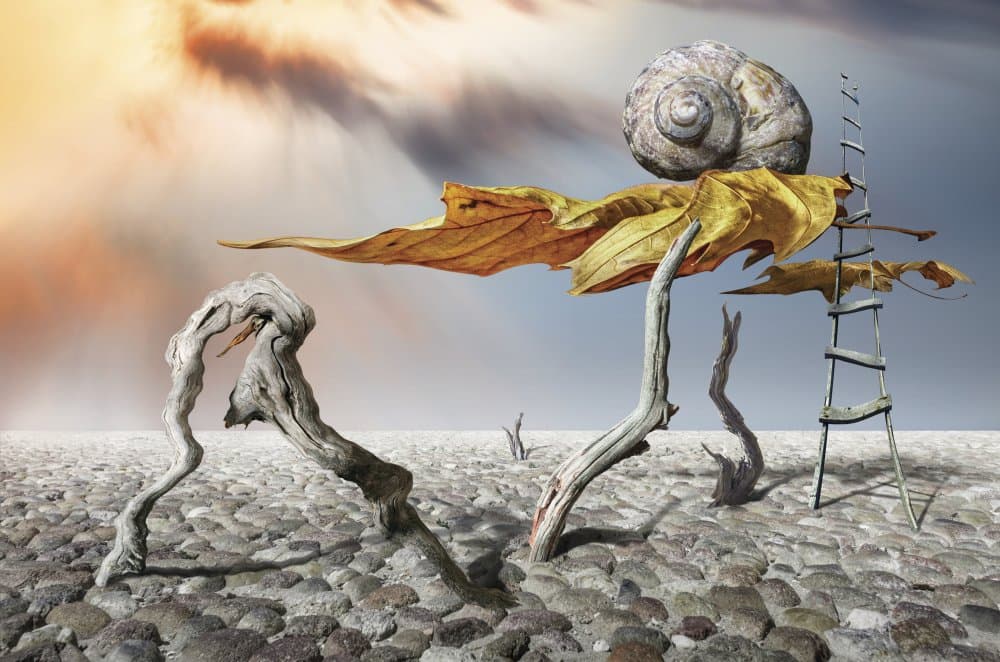 Snail Shell Desert Dream by Alexander Alexandrov — canvas wall art