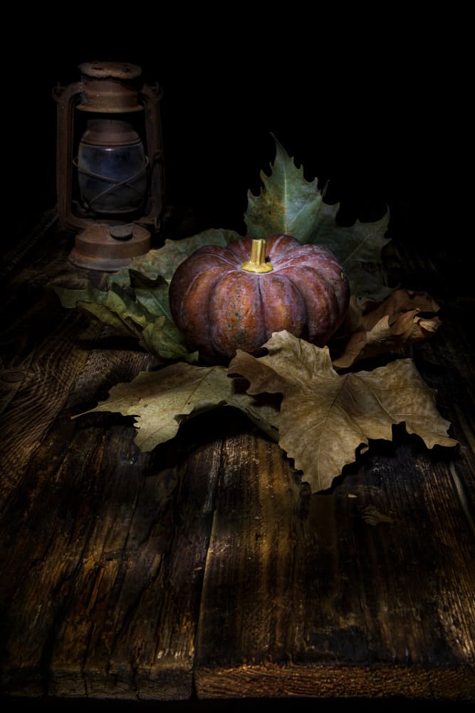 Moody Autumn Harvest by Felice Angelino — canvas wall art