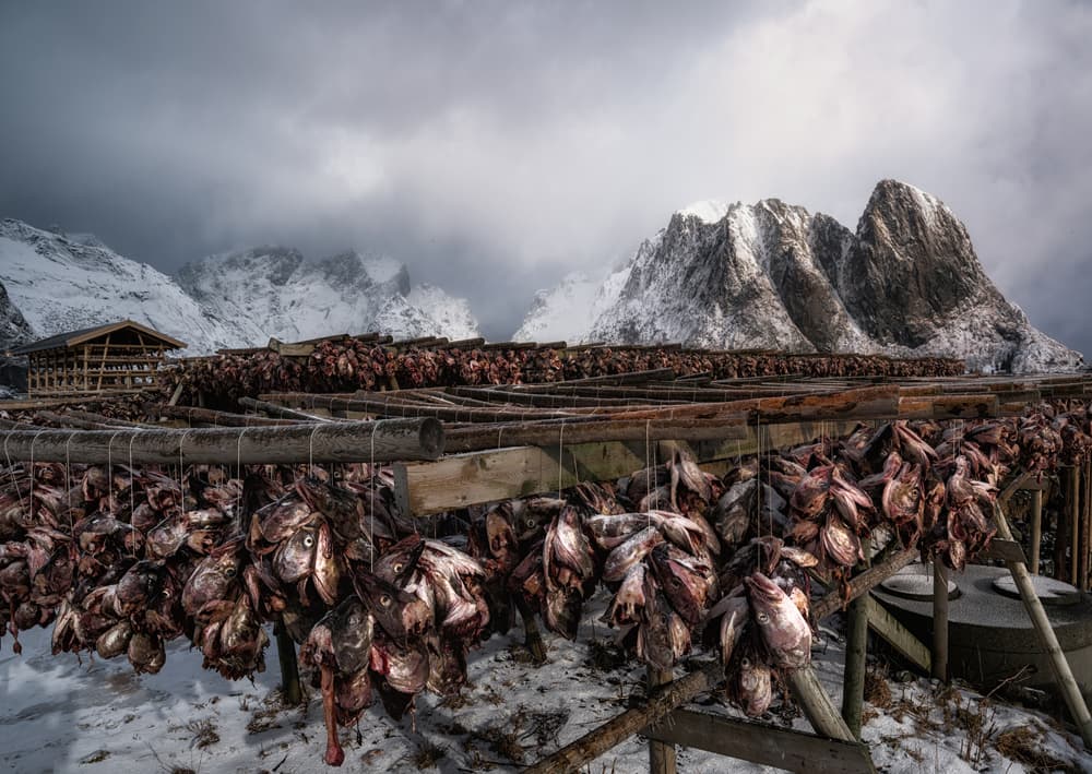 Nordic Stockfish Landscape by Stan Huang — canvas wall art