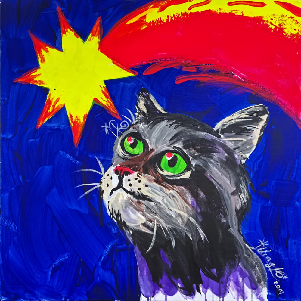 Cat and Comet by Kanat Ibragimov — canvas wall art