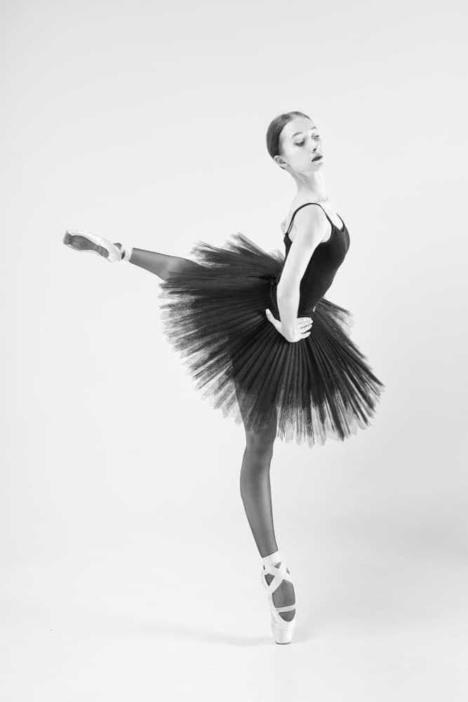 Graceful Ballerina Pose by Alexandr — canvas wall art