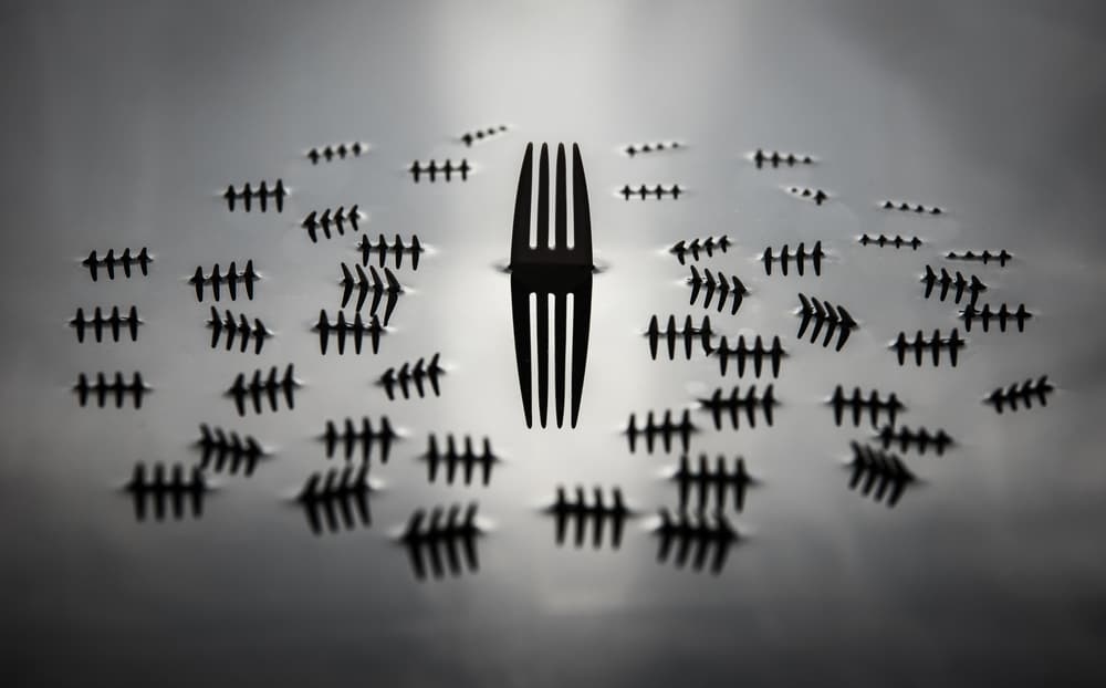 Fork and Fish Bones by Mike Melnotte — canvas wall art