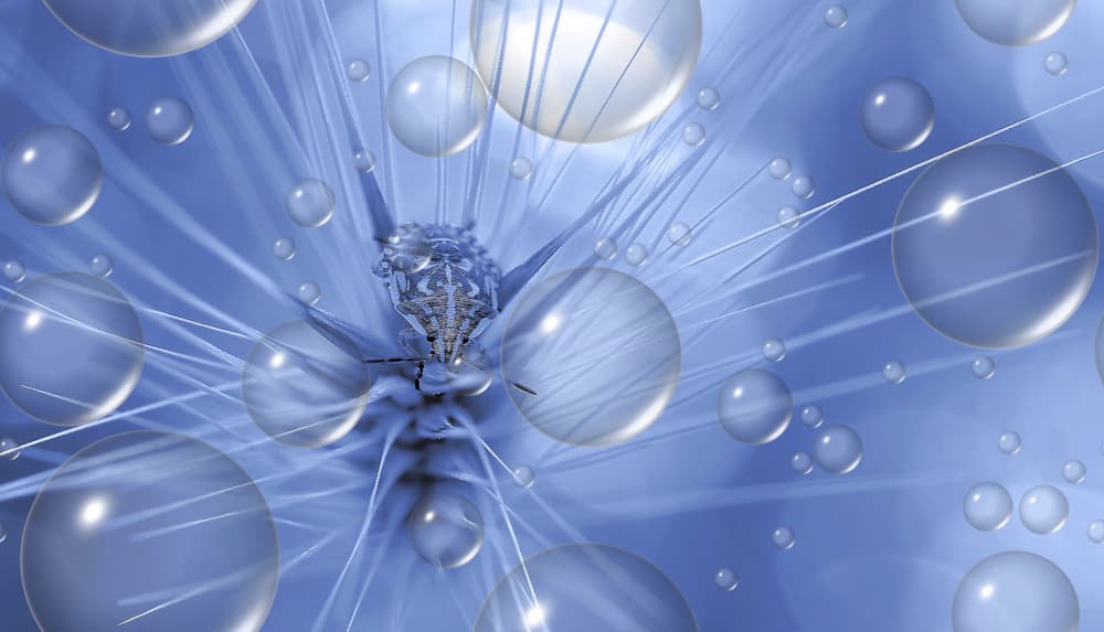 Radiant Blue Bubbles by Thierry Dufour — canvas wall art