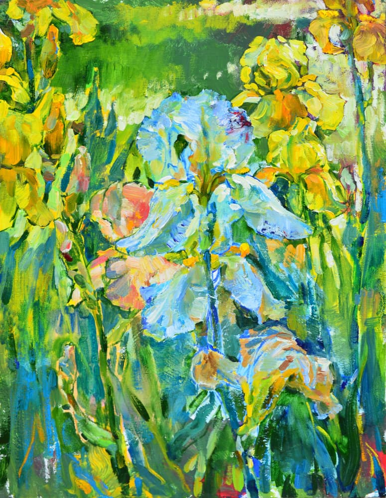 Vibrant Iris Garden by Andrii Kutsachenko — canvas wall art