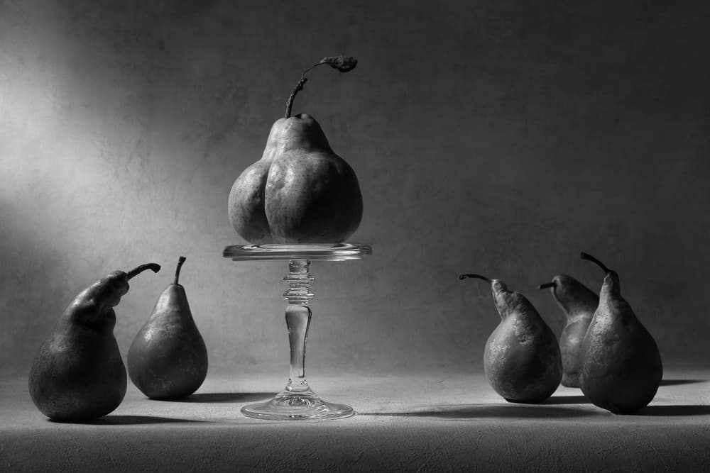 Monochrome Pear Elegance by Victoria Glinka — canvas wall art