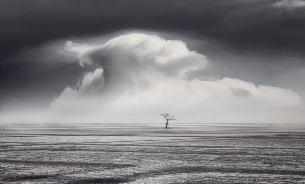 Lone Tree And Clouds by Uschi Hermann — canvas wall art