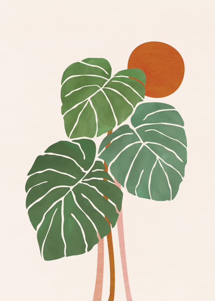Monstera and Sunshine 2 by Kristian Gallagher — canvas wall art