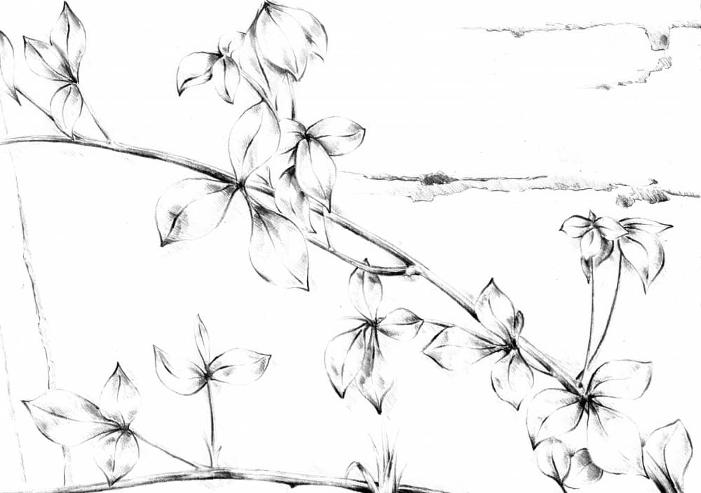 Delicate Floral Vine by Kulik — canvas wall art