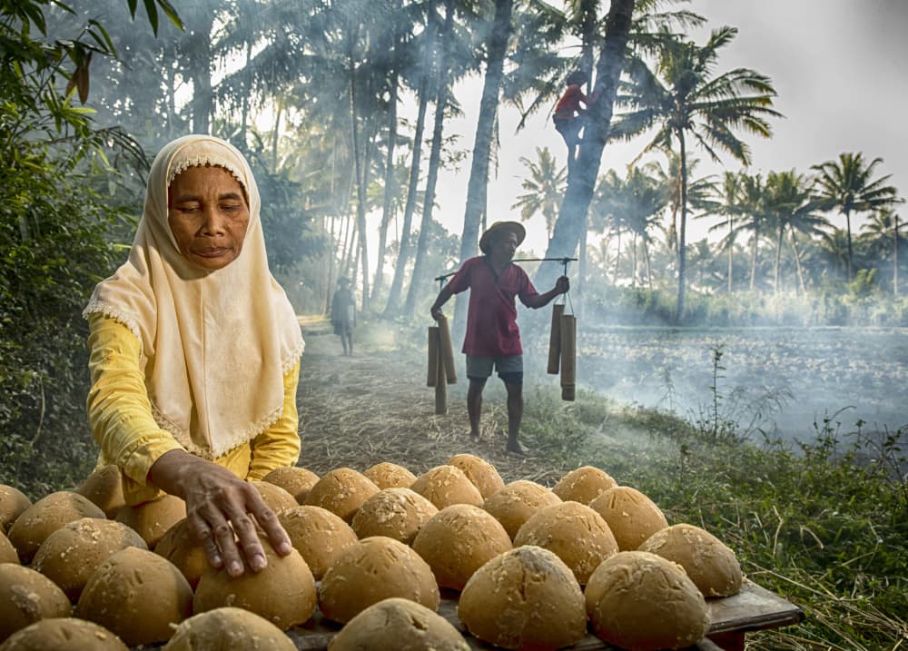 Indonesian Palm Sugar Harvest by Angela Muliani Hartojo — canvas wall art