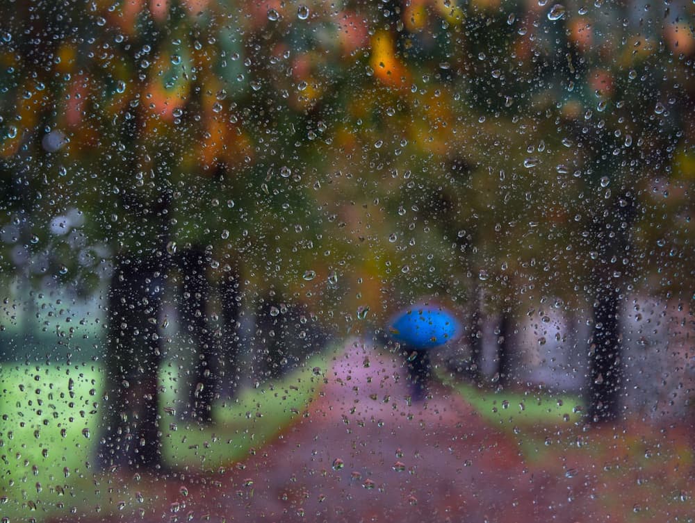 Rainy Autumn Walk by Giorgio Toniolo — canvas wall art