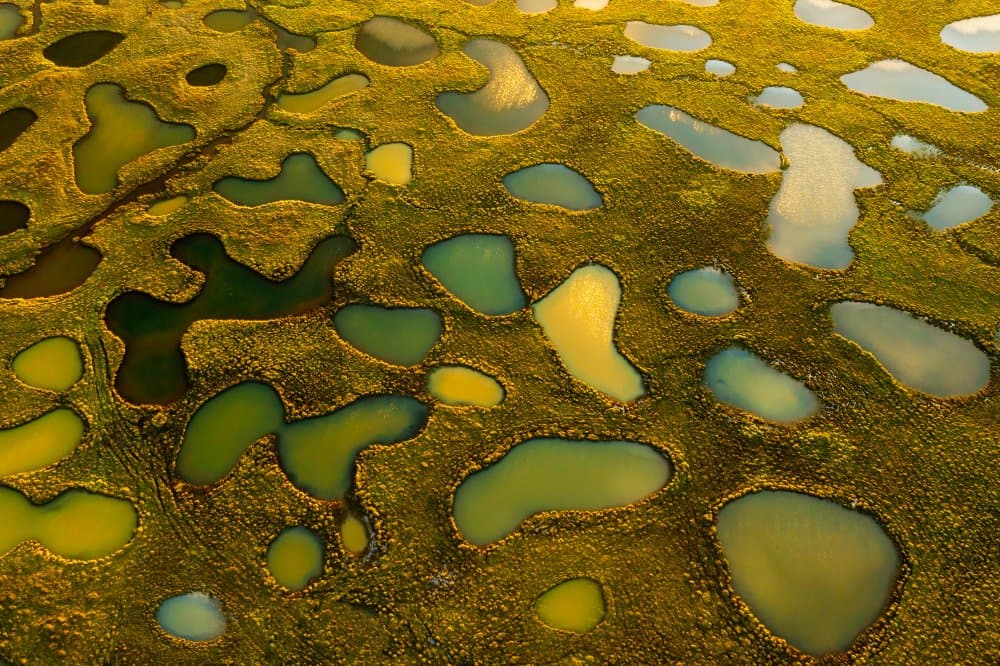 Aerial Wetland Ponds by James Bian — canvas wall art