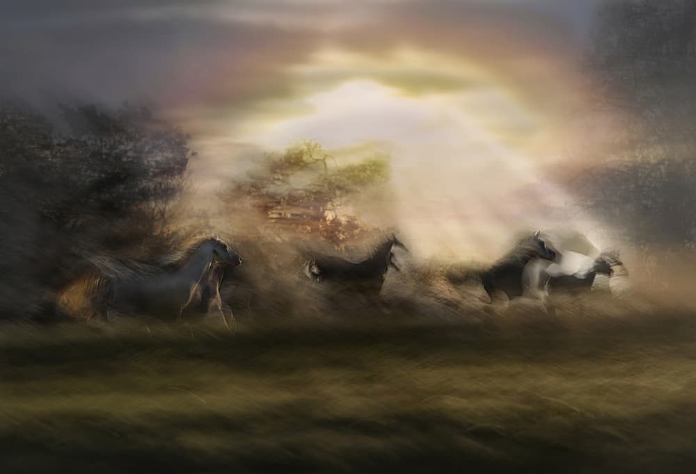Dreamy Horses Running by Milan Malovrh — canvas wall art