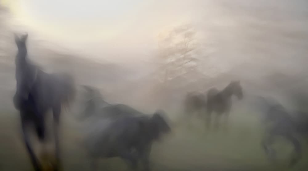 Dreamlike Running Horses by Milan Malovrh — canvas wall art