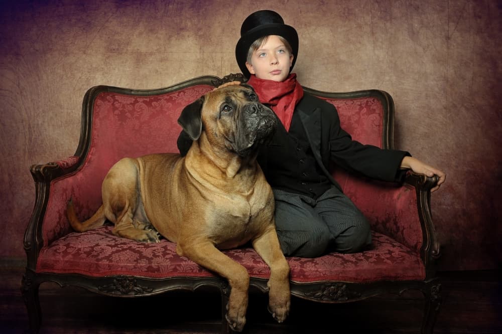 Classic Boy with Dog by Monika Vanhercke — canvas wall art