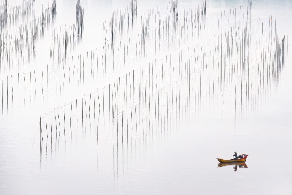 Tranquil Ocean Farm by Songlin Xu — canvas wall art