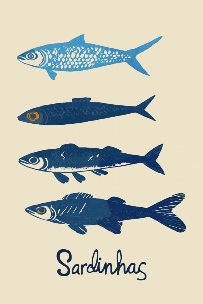 Stylized Blue Sardines by casa cartissi — canvas wall art