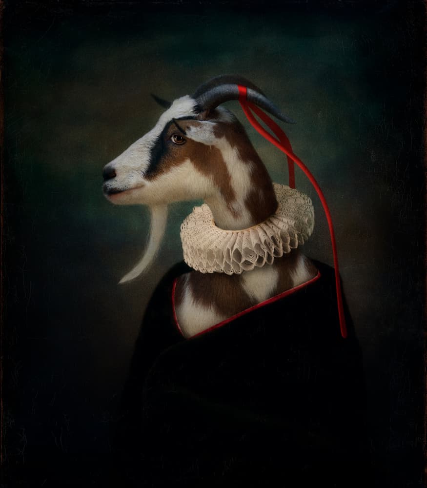 Regal Goat Portrait by Svetlana Melik-Nubarova — canvas wall art