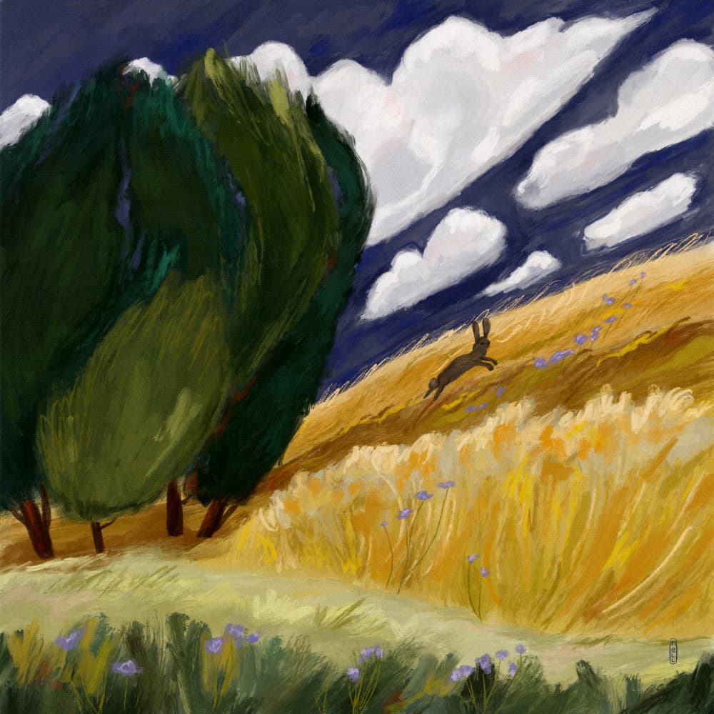 Running Hare Golden Field by Dirkie Nell — canvas wall art