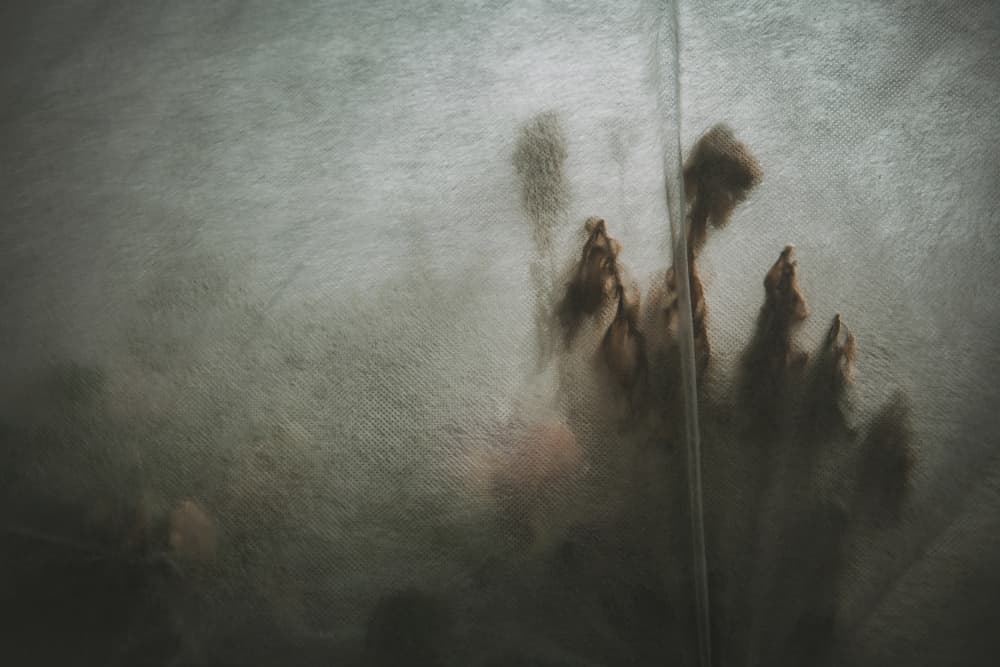Mysterious Blurred Hand by Tim Mossholder — canvas wall art