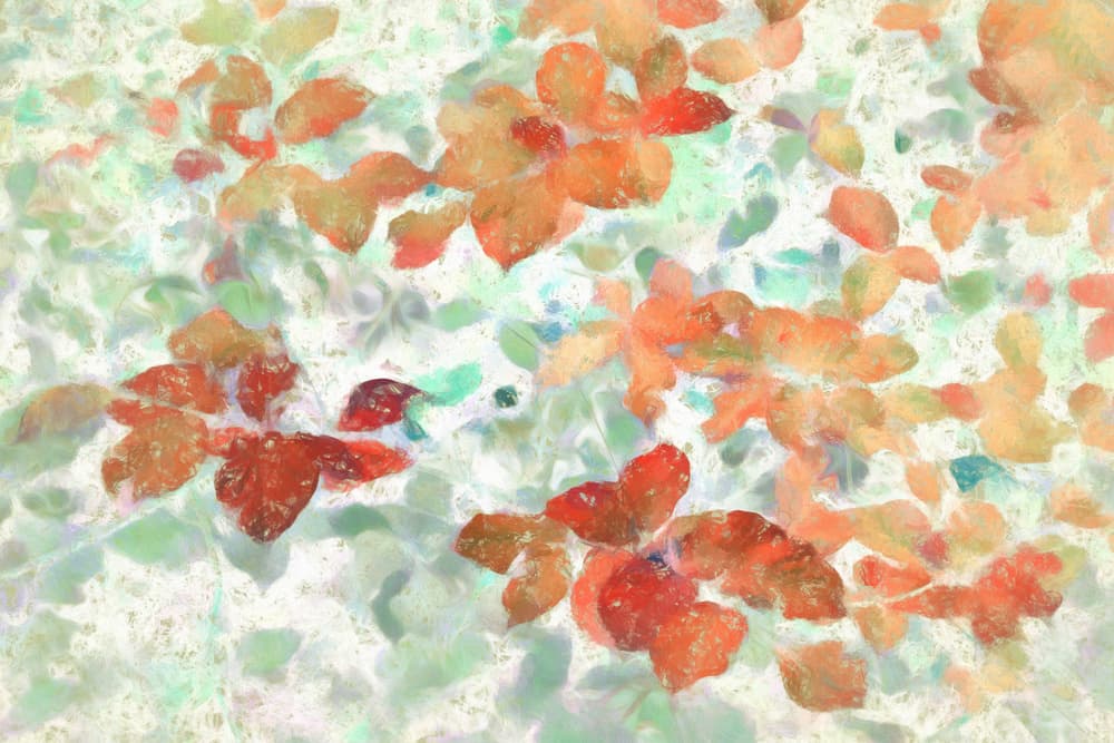 Soft Autumn Leaves by Gilbert Claes — canvas wall art
