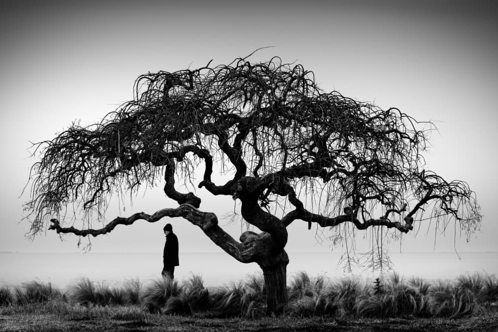 Man Under Weeping Tree by George Digalakis — canvas wall art