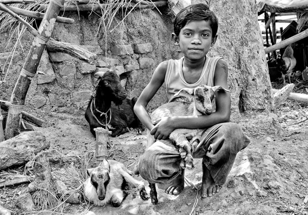 Boy Holding Baby Goat by Avishek Das — canvas wall art
