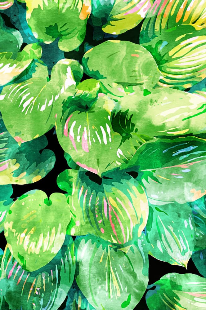 Vibrant Watercolor Leaves by Uma Gokhale — canvas wall art