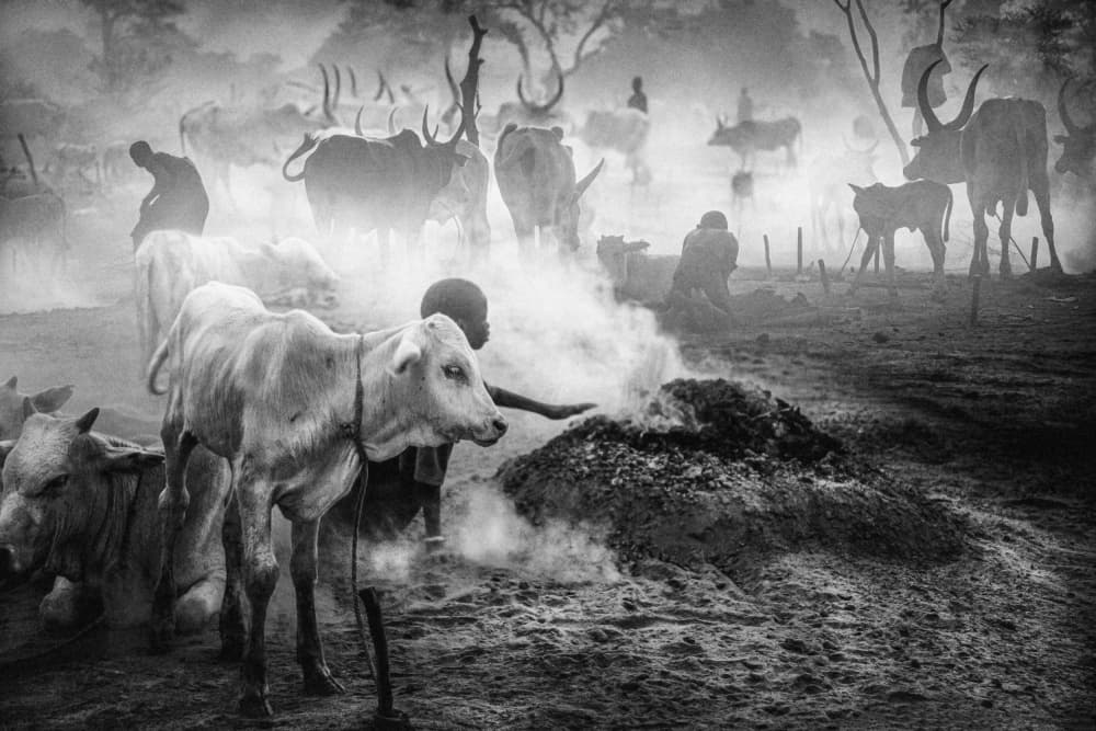 Young Herder Cattle Smoke by Svetlin Yosifov — canvas wall art