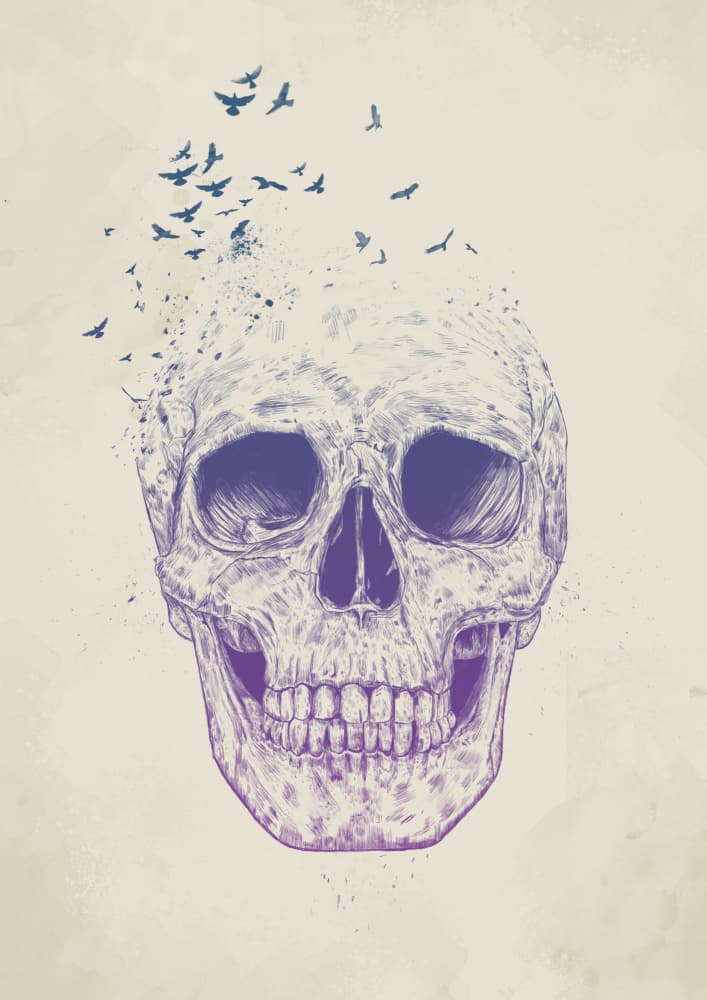Ethereal Skull Birds by Balazs Solti — canvas wall art