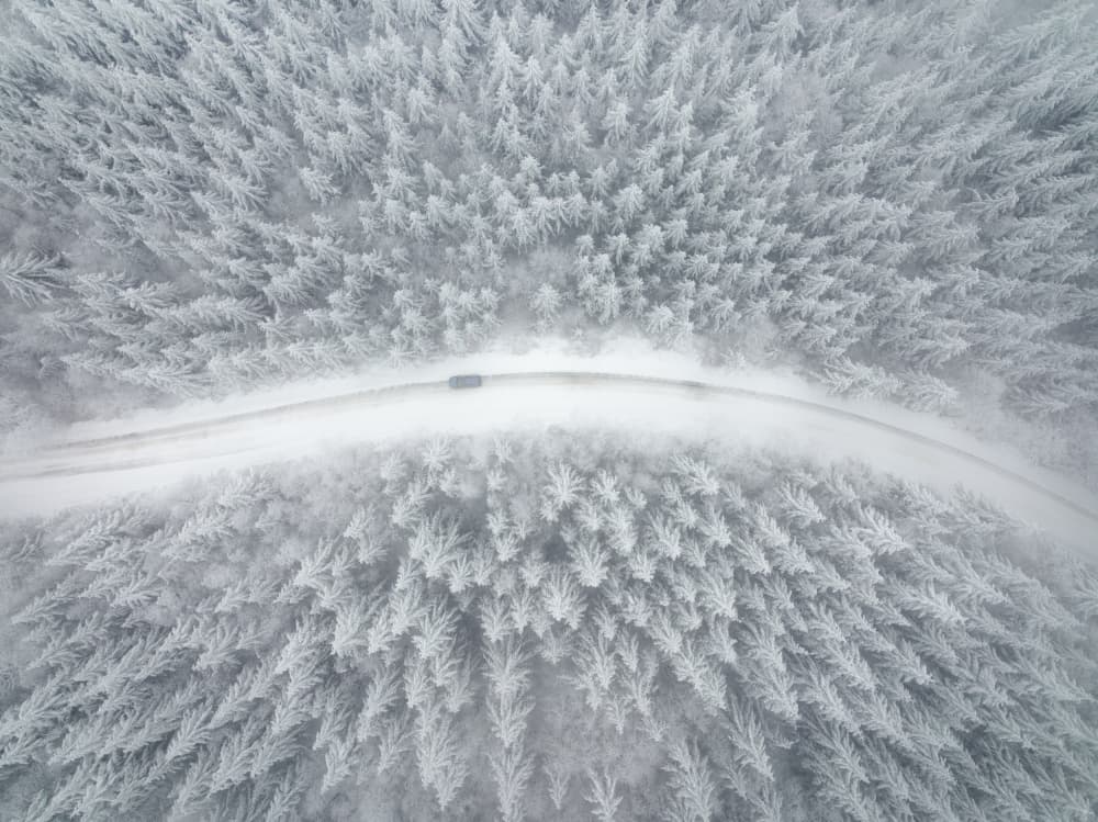 Snowy Forest Road by Gerald Macua — canvas wall art