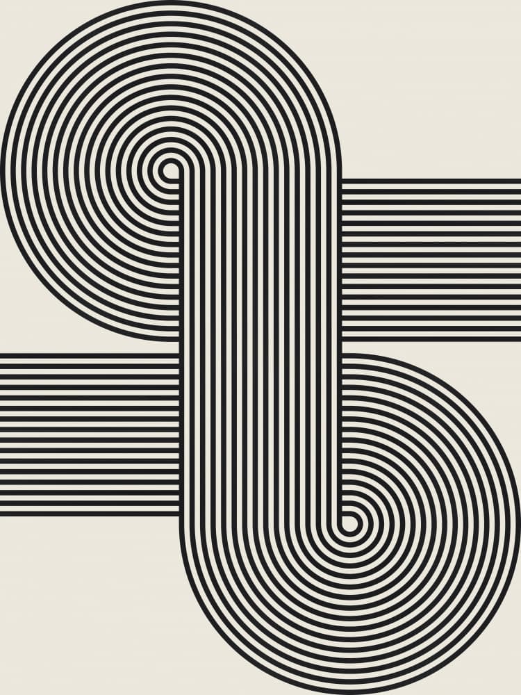 Flowing Geometric Pattern by Vitor Costa — canvas wall art