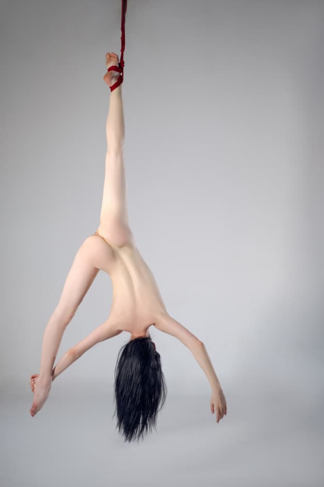Graceful Red Rope Suspension by Zanna — canvas wall art