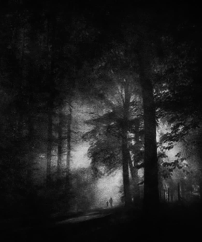 Mysterious Forest Path by Yvette Depaepe — canvas wall art