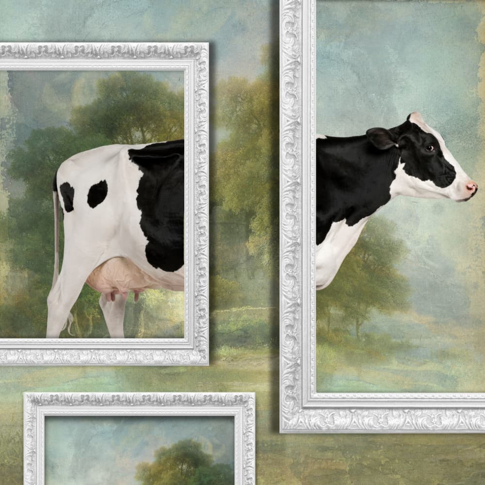 Whimsical Framed Cow by Marja van den Hurk — canvas wall art