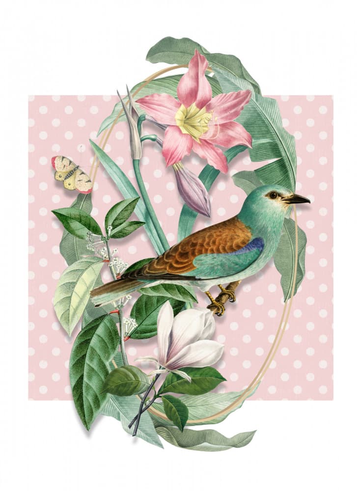 Pink Botanical Bird by Marja van den Hurk — canvas wall art
