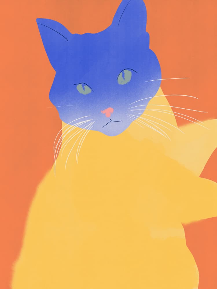Modern Cat Colors by Little Dean — canvas wall art