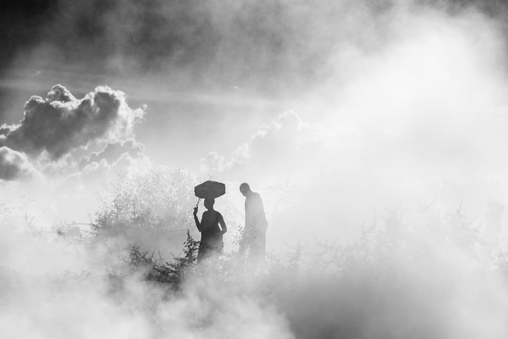Silhouettes In Mist by Svetlin Yosifov — canvas wall art