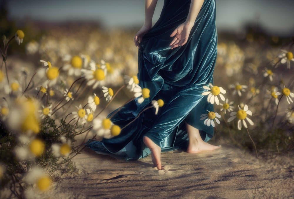 Barefoot Daisy Walk by Charlaine Gerber — canvas wall art