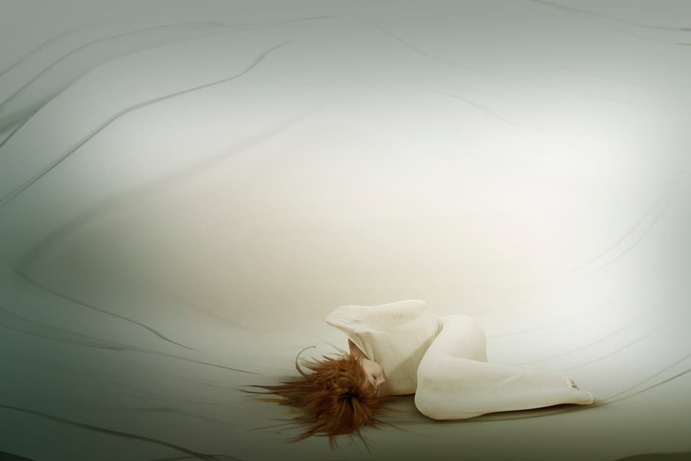 Sleeping Woman's Dream by Christine von Diepenbroek — canvas wall art