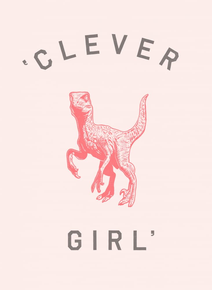 Pink Clever Girl Raptor by Florent Bodart — canvas wall art